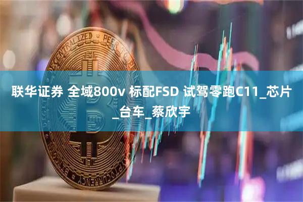 联华证券 全域800v 标配FSD 试驾零跑C11_芯片_台车_蔡欣宇
