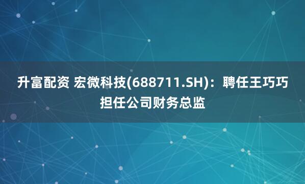升富配资 宏微科技(688711.SH)：聘任王巧巧担任公司财务总监