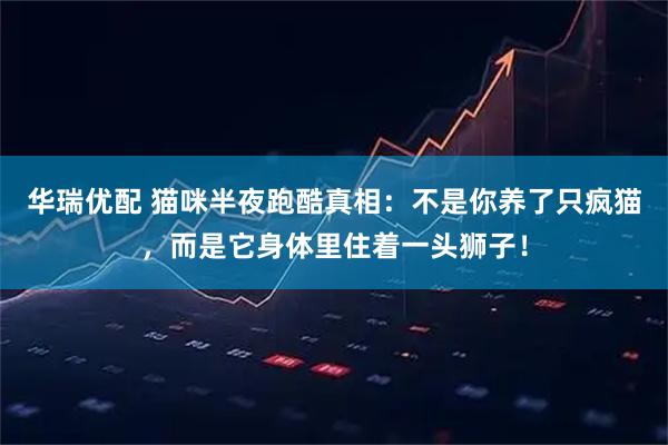 华瑞优配 猫咪半夜跑酷真相：不是你养了只疯猫，而是它身体里住着一头狮子！